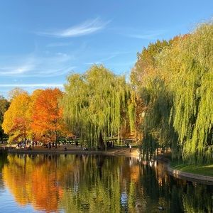 Meet your Posher, Cara